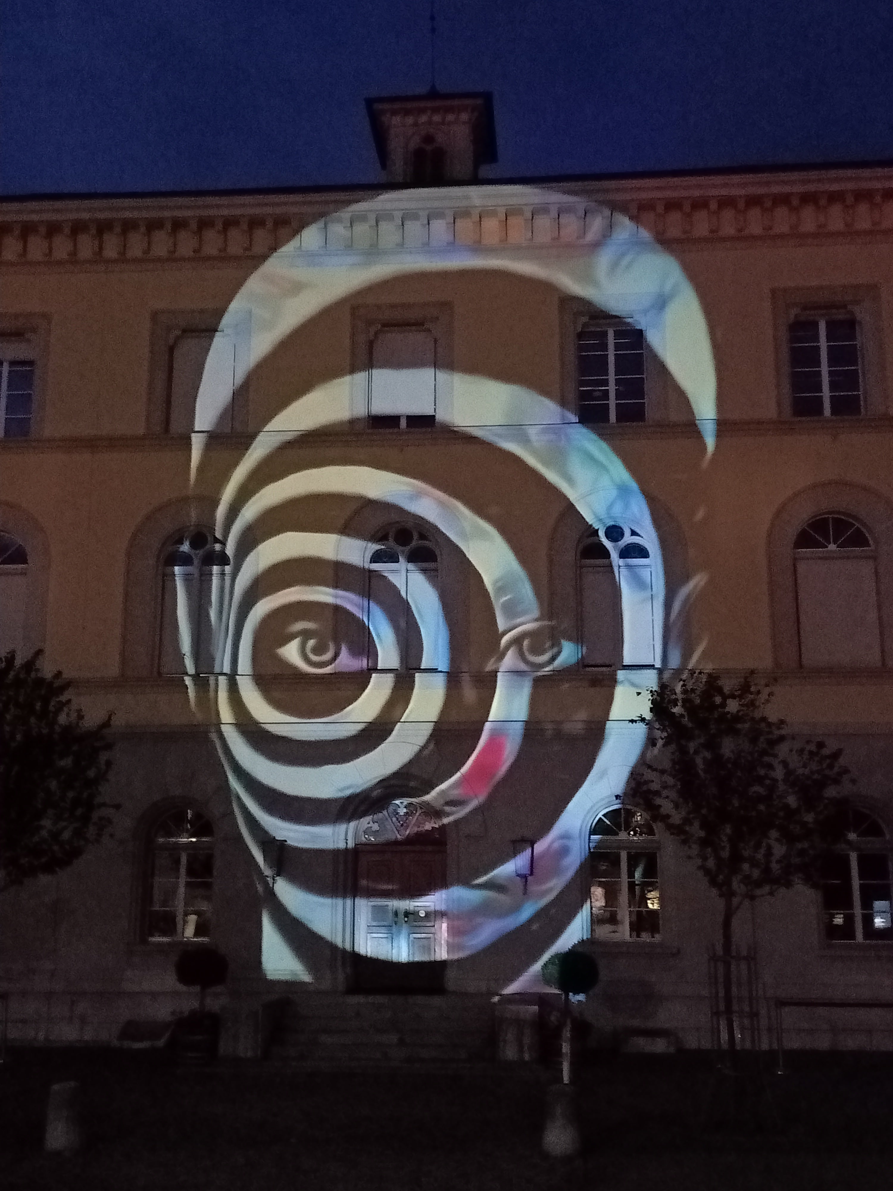 Pattern Projector: Can any pattern be projected?