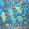 Gobohub’s Water Ripple &amp; Fish Projector Transforms Florida Dock into a Nighttime Destination - Gobohub