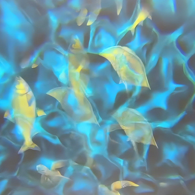 Gobohub’s Water Ripple &amp; Fish Projector Transforms Florida Dock into a Nighttime Destination